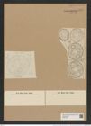 Auliscus caelatus var. latecostatus A. Schm. (de-Toni-Nr.: Genus 171, Species 4362) Zeichnungen Sammlung Grunow Nr. 7927 (NHMW-BOT-W0377204)